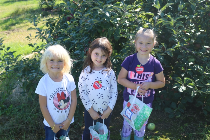 Kindergartners visited Ontario Orchards and got to pick their own apples recently.