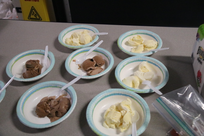Dishes of ice cream lined up ready for toppings!